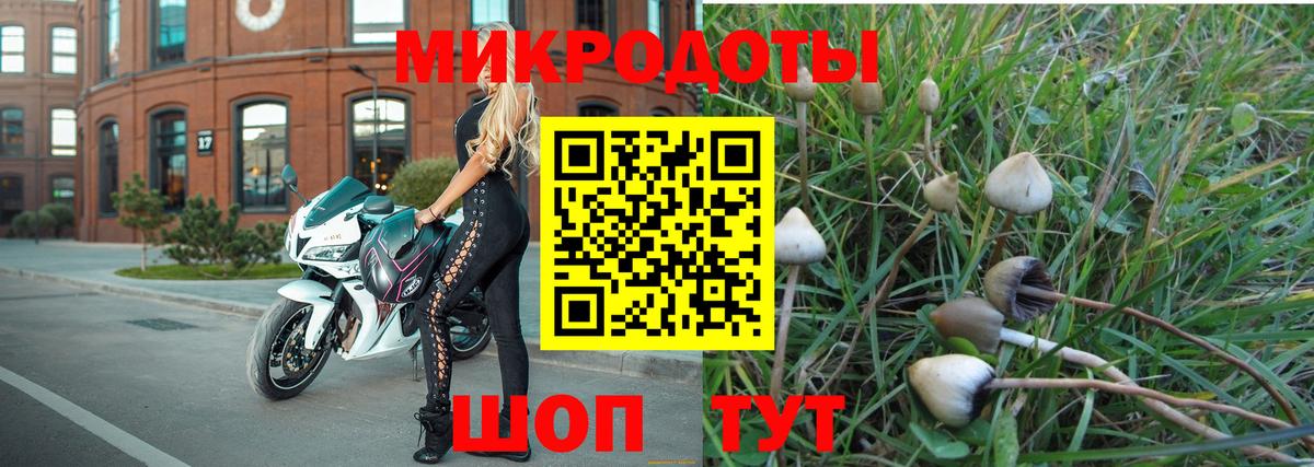 Псилоцибиновые грибы мухоморы  Вход с VPN  Псилоцибиновые грибы GOLDEN TEACHER  Советский 